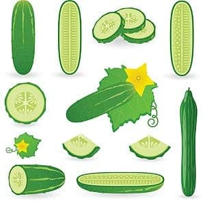 Cucumbers Cucumbers