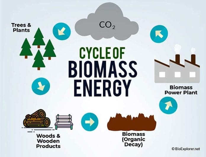 Biomass Energy Cycle