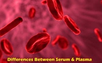 Differences between Serum and Plasma