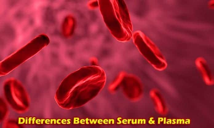 Differences between Serum and Plasma Differences between Serum and Plasma