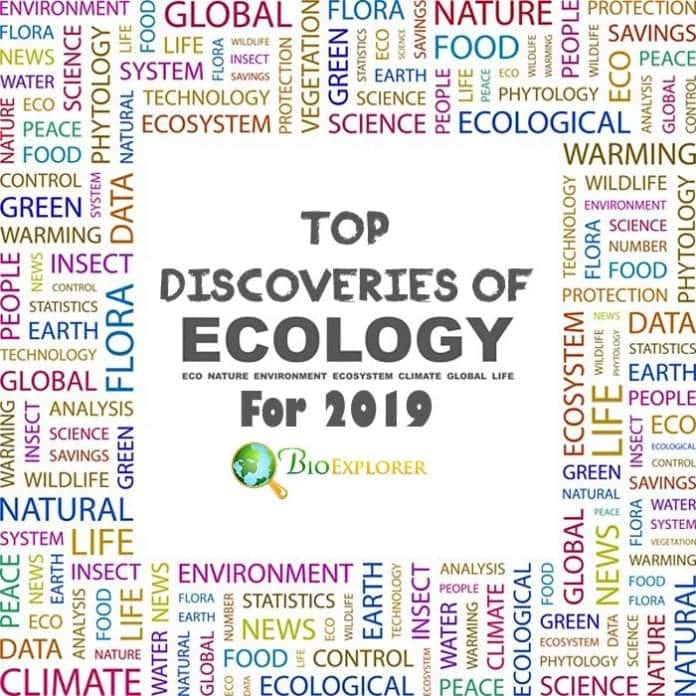 Discoveries in Ecology 2019 Discoveries in Ecology 2019