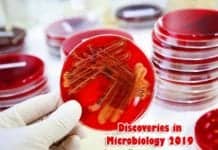 Latest Discoveries In Microbiology 2019