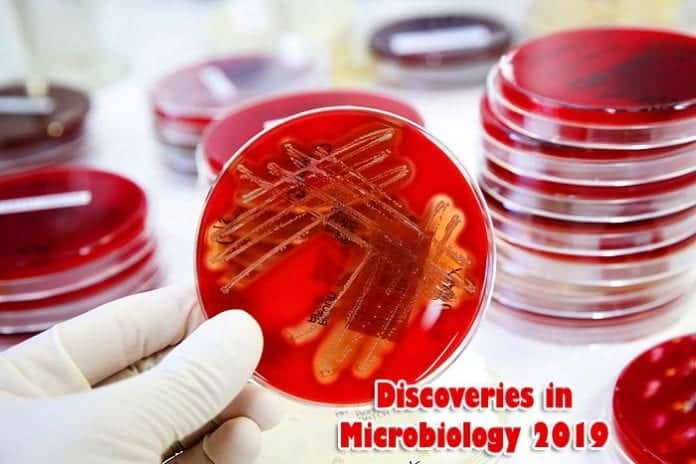 Latest Discoveries In Microbiology 2019 Latest Discoveries In Microbiology 2019