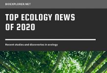 Ecology News 2020