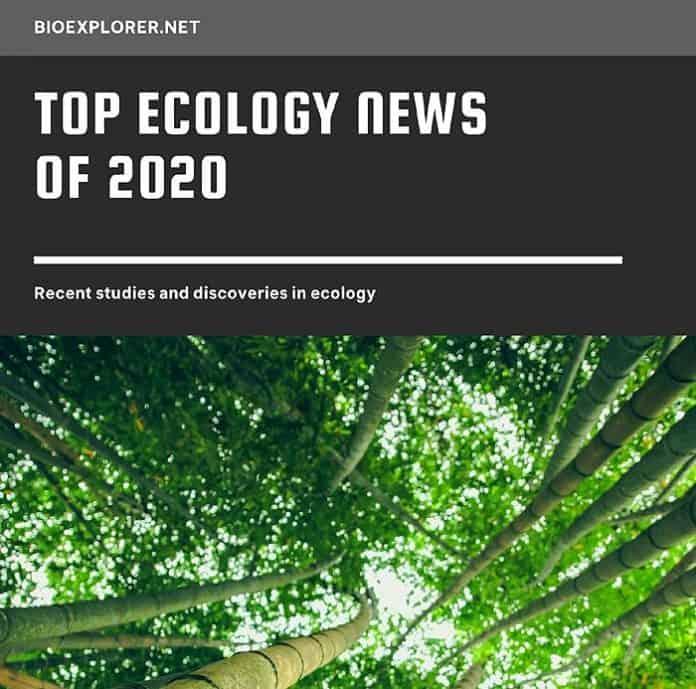 Ecology News 2020 Ecology News 2020