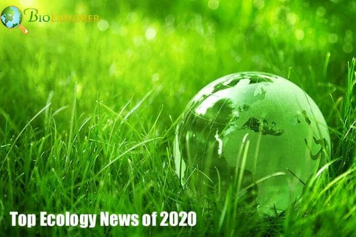 Ecology News of 2020 Ecology News of 2020