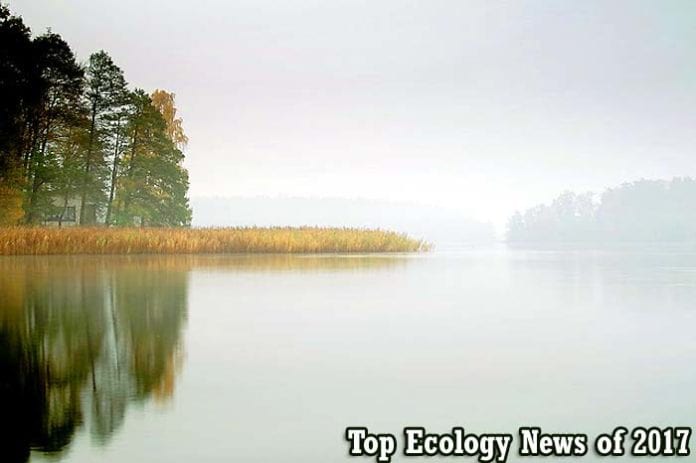 Ecology News in 2017 Ecology News in 2017