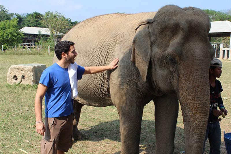 Elephant Conservation Elephant Conservation