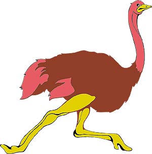 Emu (Birds are Bipedal)