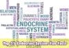 Endocrine System Fun Facts