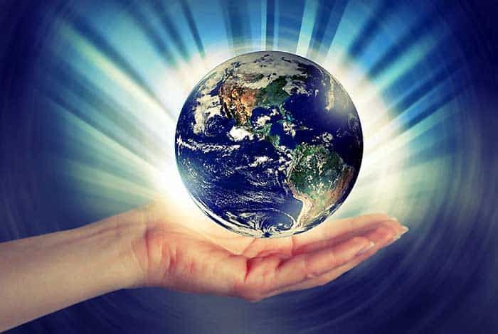 Environmental Advocate Environmental Advocate