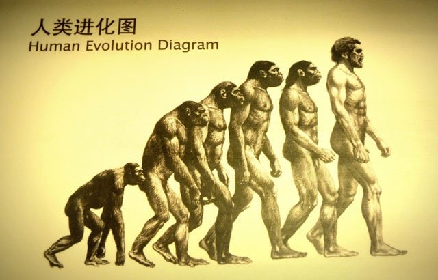 Divisions of Biology: Evolution Divisions of Biology: Evolution