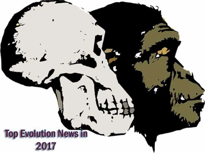 Evolution News 2017 Evolution News 2017