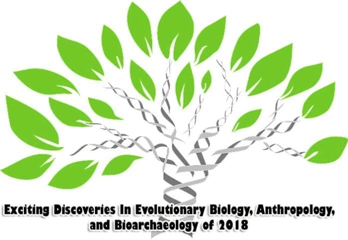 Evolution News in 2018 Evolution News in 2018