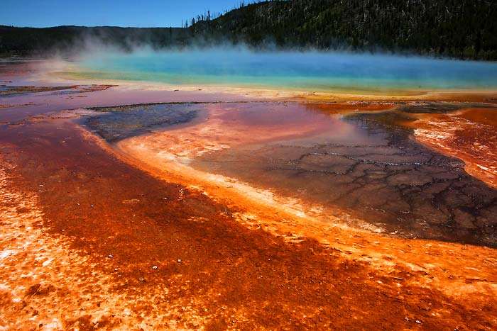 Extremophiles Extremophiles