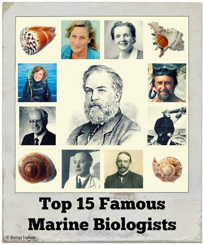 Famous Marine Biologists Famous Marine Biologists