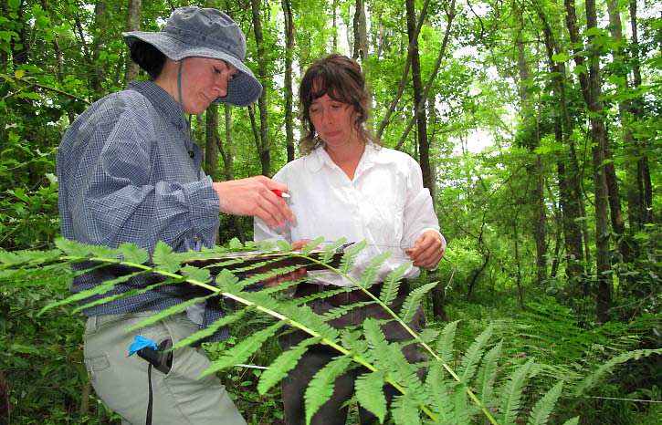 field biologist