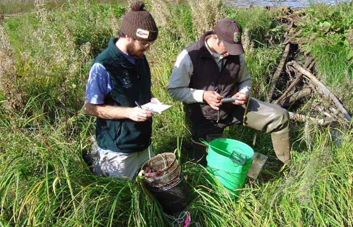 Field Biologists Field Biologists
