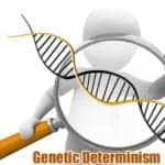 Genetic Determinism