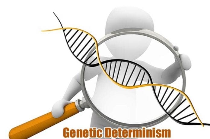 Genetic Determinism Genetic Determinism