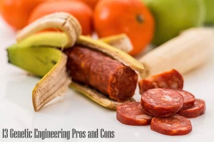 Genetic Engineering Pros and Cons