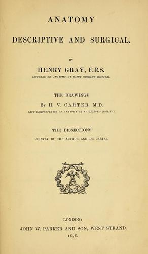 Gray's Anatomy