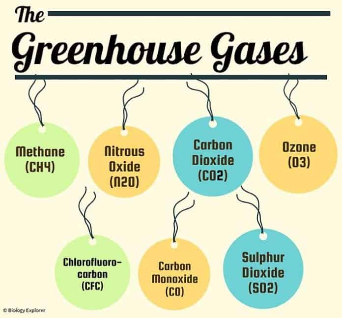 Types of iGreenhousei Gases iDefinitioni and Effects On 