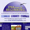 DNA Beginning