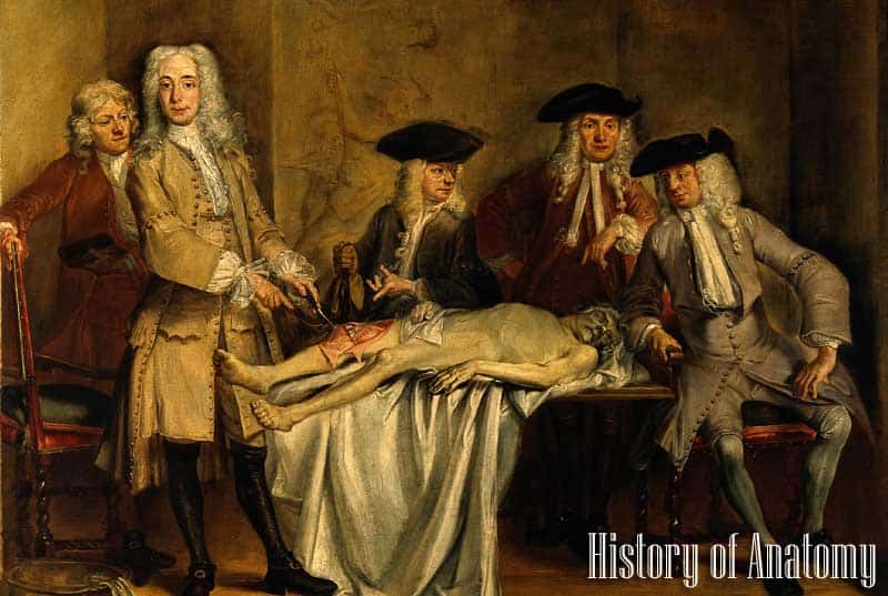 History of Anatomy