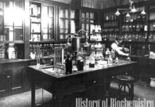 History of Biochemistry History of Biochemistry