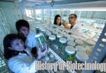 history of biotechnology