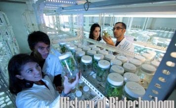 history of biotechnology