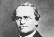 History of Genetics History of Genetics