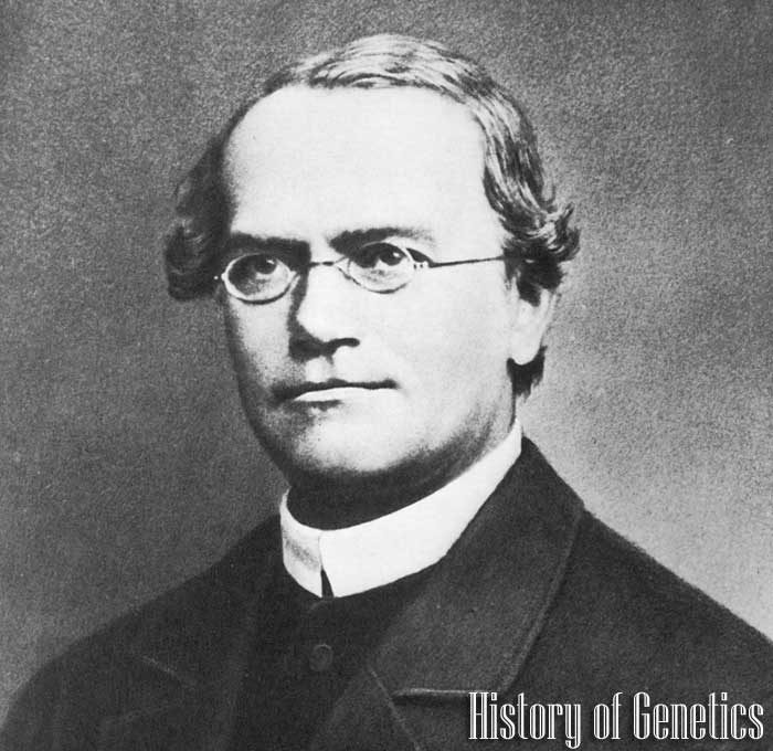 History of Genetics