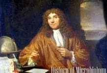 History of Microbiology History of Microbiology
