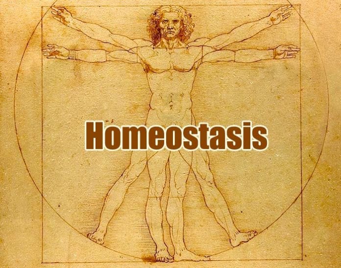 Homeostasis Homeostasis