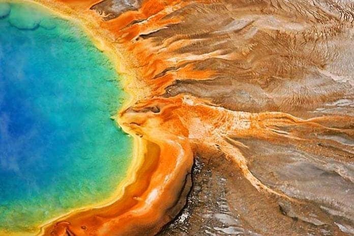 Domain Archaea / Archaebacteria Domain Archaea / Archaebacteria