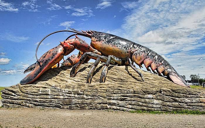 How Often Do Lobsters Eat? How Often Do Lobsters Eat?