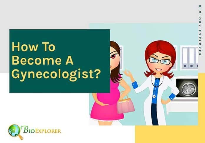 How to become a gynecologist? How to become a gynecologist?