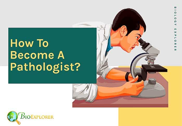 How to become a pathologists