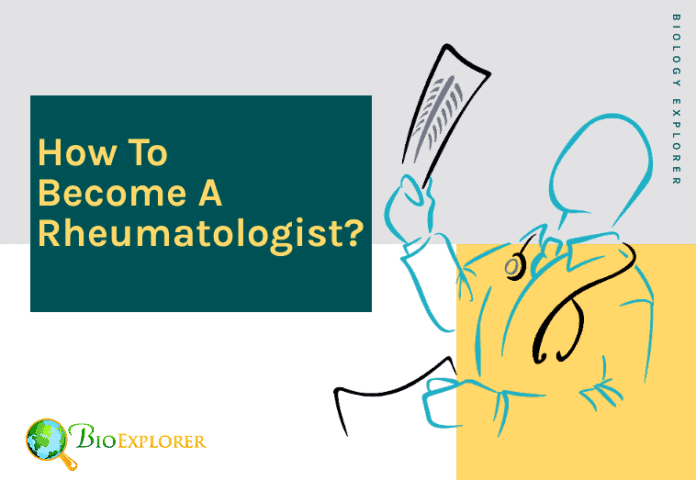 How to become a rheumatologist?