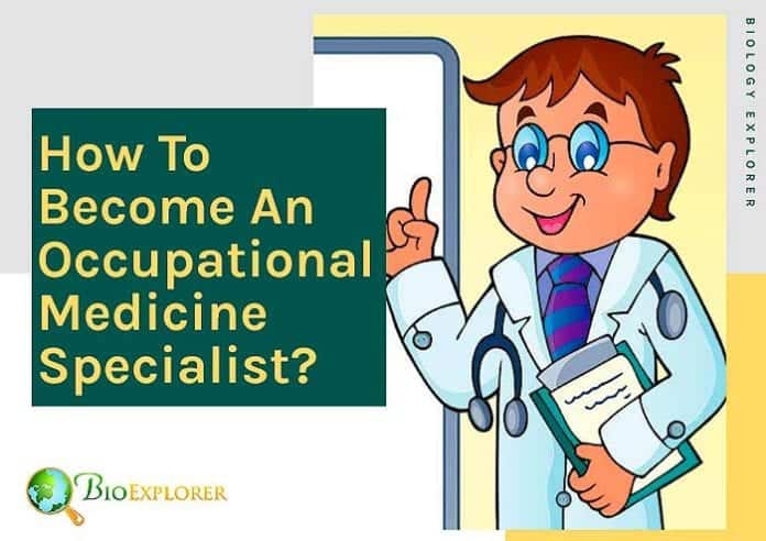 How to become an occupational medicine specialist?