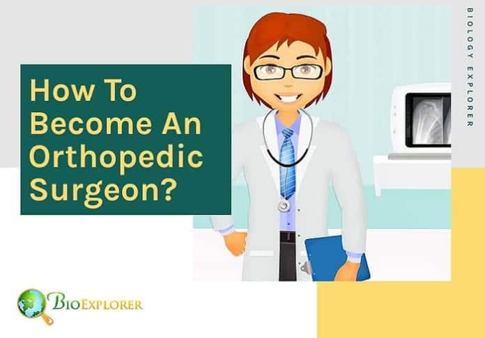 How to become an orthopedic surgeon? How to become an orthopedic surgeon?