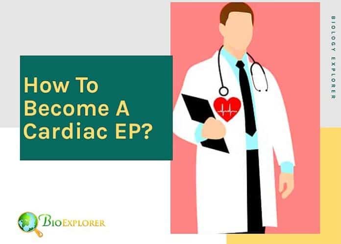 How to become a cardiac electrophysiologist? How to become a cardiac electrophysiologist?