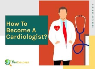 cardiologist