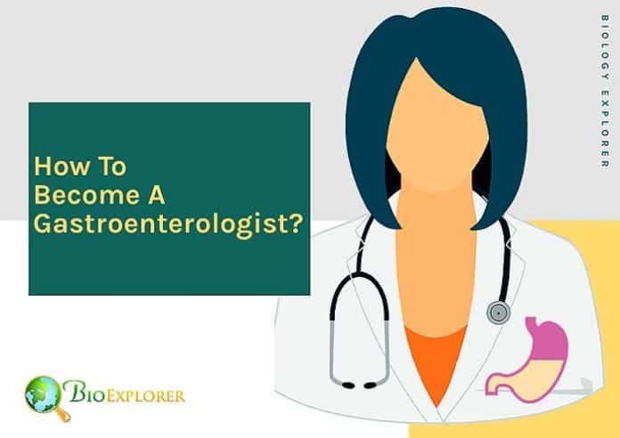 How to become a gastroenterologist? How to become a gastroenterologist?