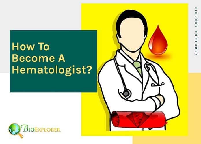 How to become a hematologist? How to become a hematologist?