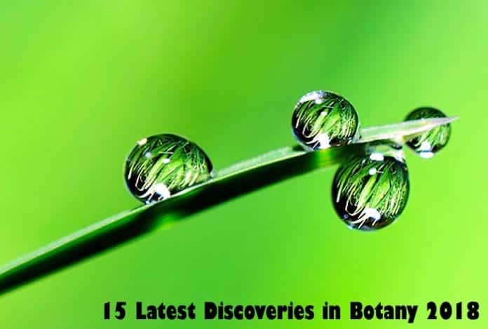 latest inventions in botany for 2018 latest inventions in botany for 2018