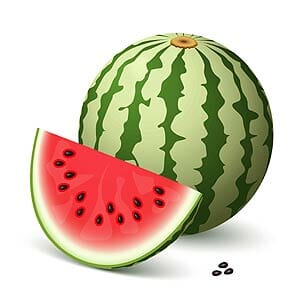 Medium Size Watermelon Medium Size Watermelon