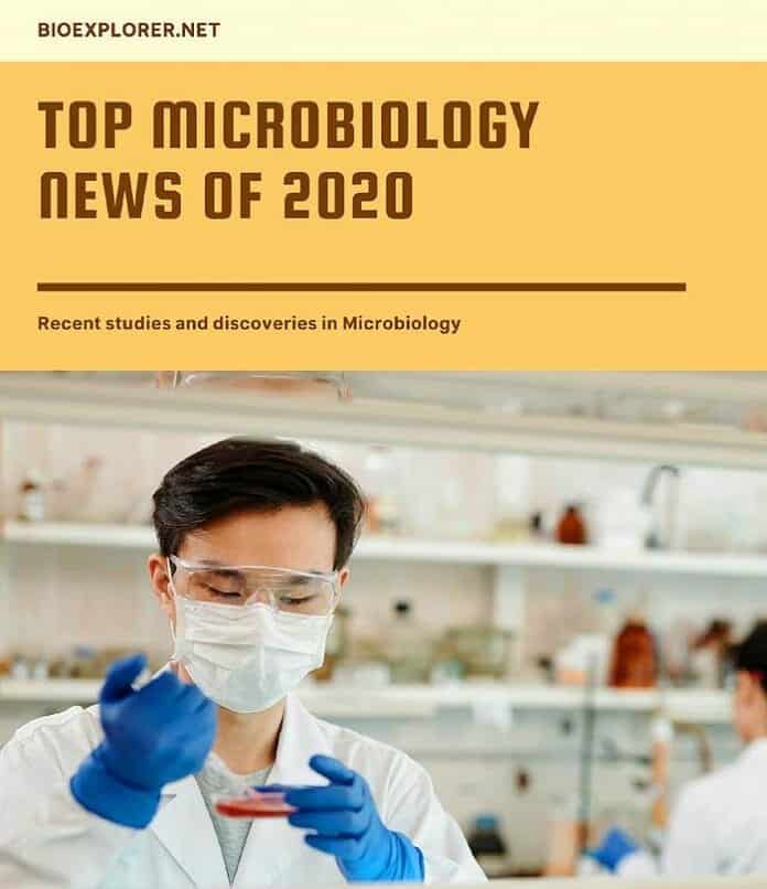 microbiology-news-2020.jpg
